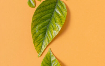 What you need to know about corporate carbon footprint