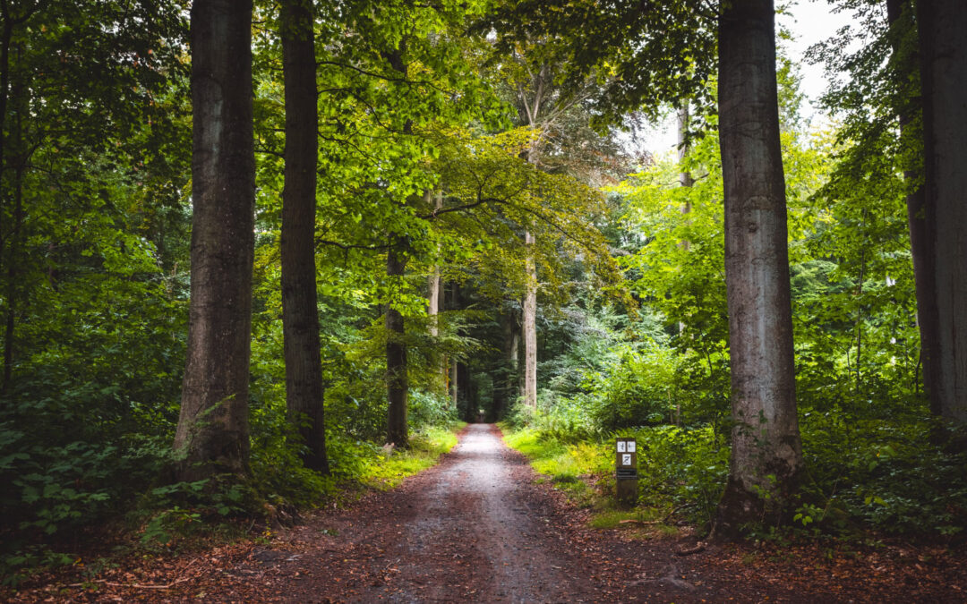 Six reasons to measure your carbon footprint
